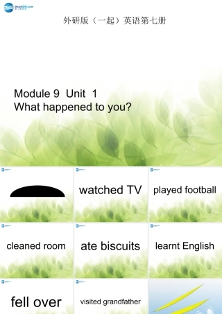 【金识源】2014四年级英语上册 Module 9 unit 1 What happened to you课件1 外研版（一起）