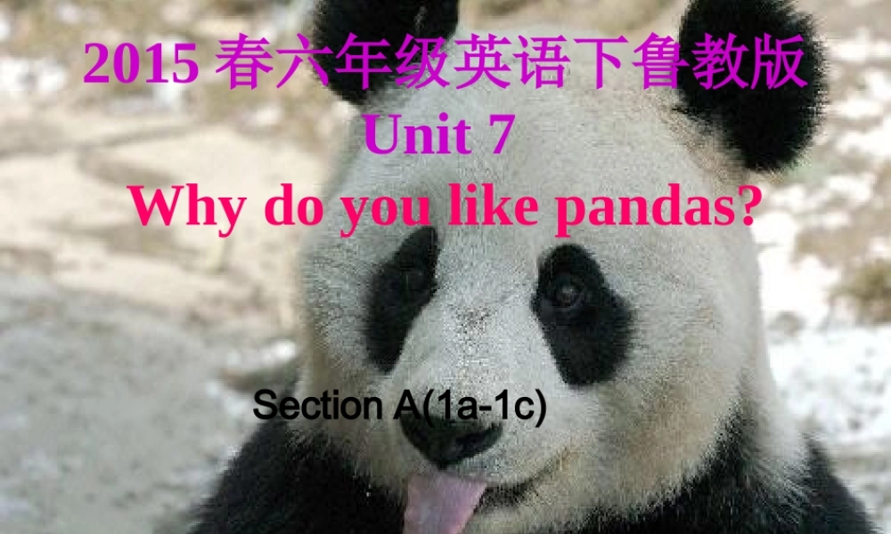 【金识源】2015春六年级英语下册 Unit 7 Why do you like pandas.Section A（1a-1c）课件 鲁教版五四制