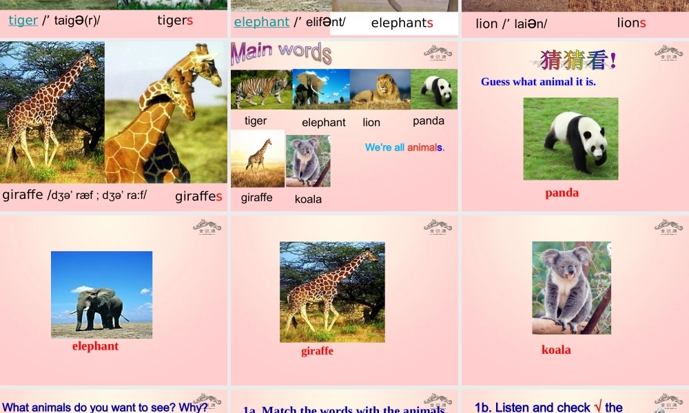 【金识源】2015春六年级英语下册 Unit 7 Why do you like pandas.Section A（1a-1c）课件 鲁教版五四制