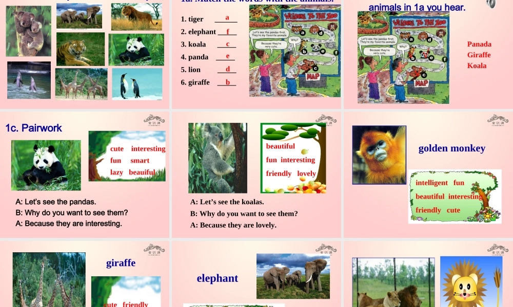 【金识源】2015春六年级英语下册 Unit 7 Why do you like pandas.Section A（1a-1c）课件 鲁教版五四制