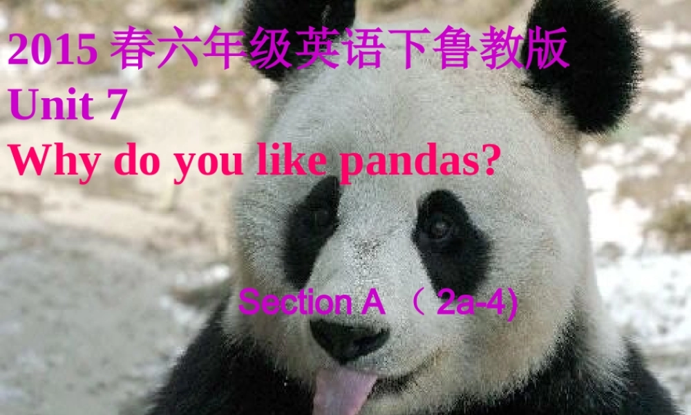 【金识源】2015春六年级英语下册 Unit 7 Why do you like pandas.Section A（2a-4）课件 鲁教版五四制