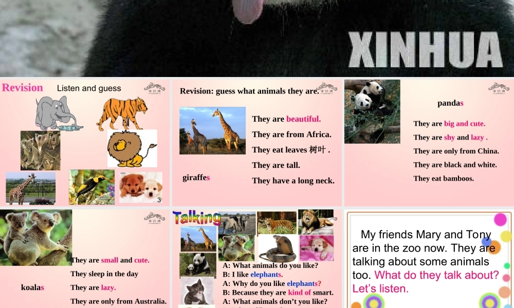 【金识源】2015春六年级英语下册 Unit 7 Why do you like pandas.Section A（2a-4）课件 鲁教版五四制