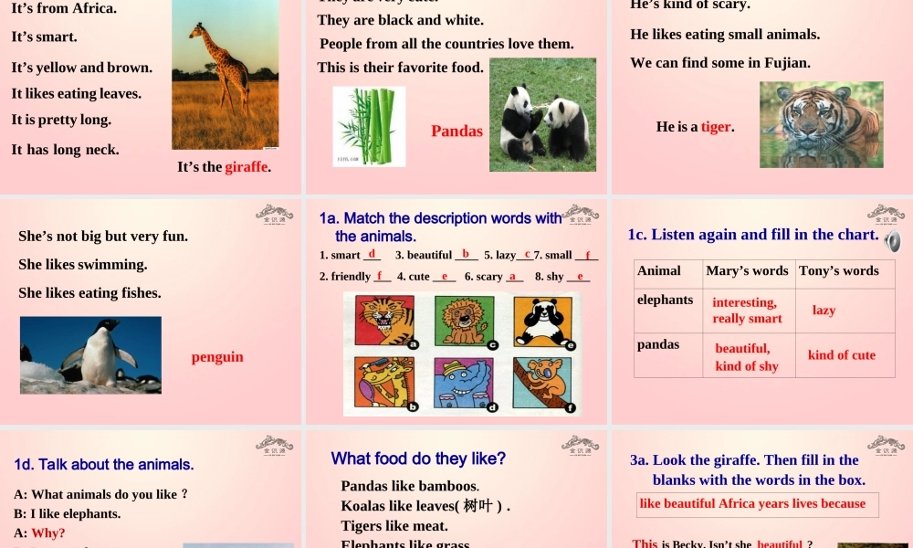 【金识源】2015春六年级英语下册 Unit 7 Why do you like pandas.Section B（1a-1d，3a-self）课件 鲁教版五四制