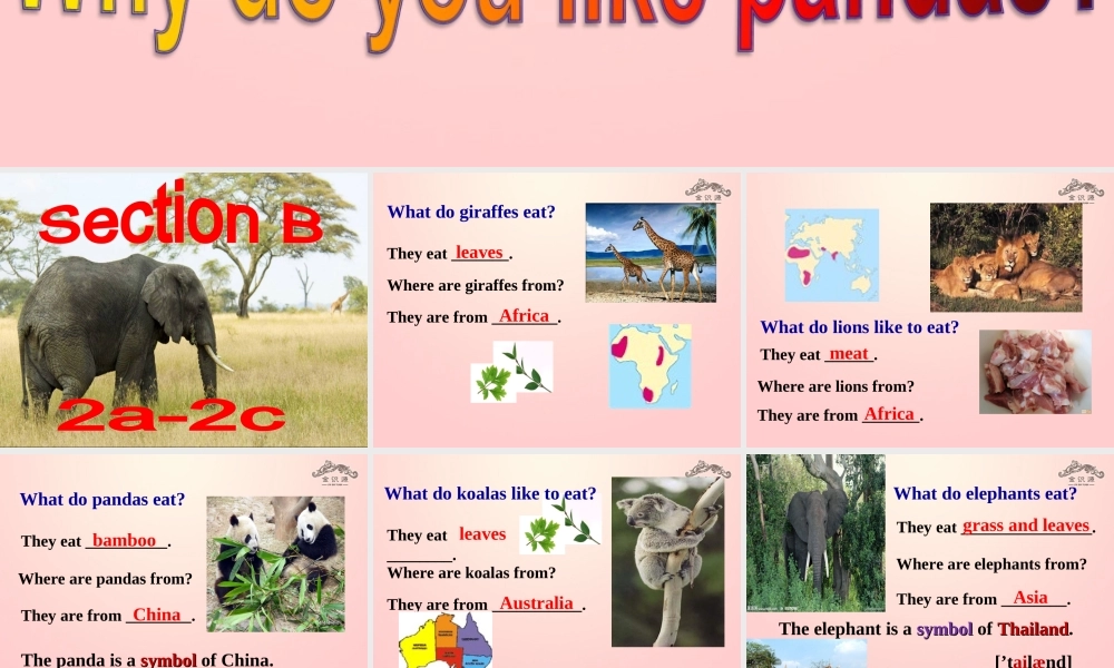 【金识源】2015春六年级英语下册 Unit 7 Why do you like pandas.Section B（2a-2c）课件 鲁教版五四制