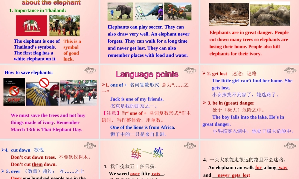 【金识源】2015春六年级英语下册 Unit 7 Why do you like pandas.Section B（2a-2c）课件 鲁教版五四制