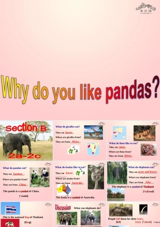【金识源】2015春六年级英语下册 Unit 7 Why do you like pandas.Section B（2a-2c）课件 鲁教版五四制
