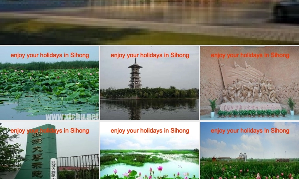 2014年秋六年级英语上册 Unit3 Holiday fun课件1 译林版