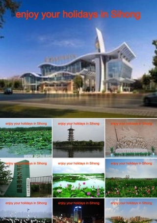 2014年秋六年级英语上册 Unit3 Holiday fun课件1 译林版