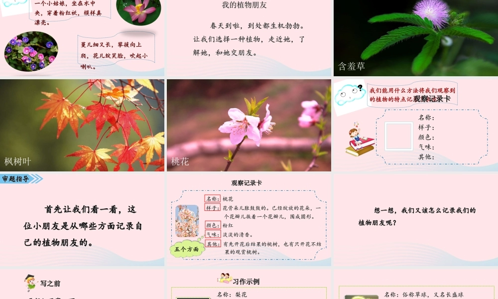 2级语文下册 第一单元 习作《我的植物朋友》课件 新人教版