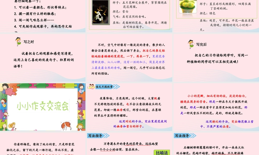 2级语文下册 第一单元 习作《我的植物朋友》课件 新人教版