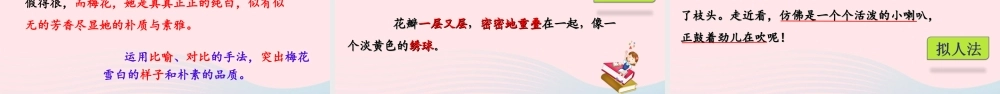 2级语文下册 第一单元 习作《我的植物朋友》课件 新人教版