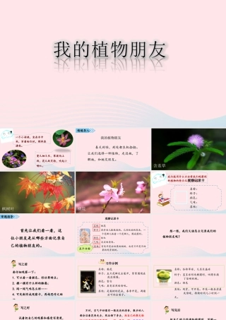 2级语文下册 第一单元 习作《我的植物朋友》课件 新人教版