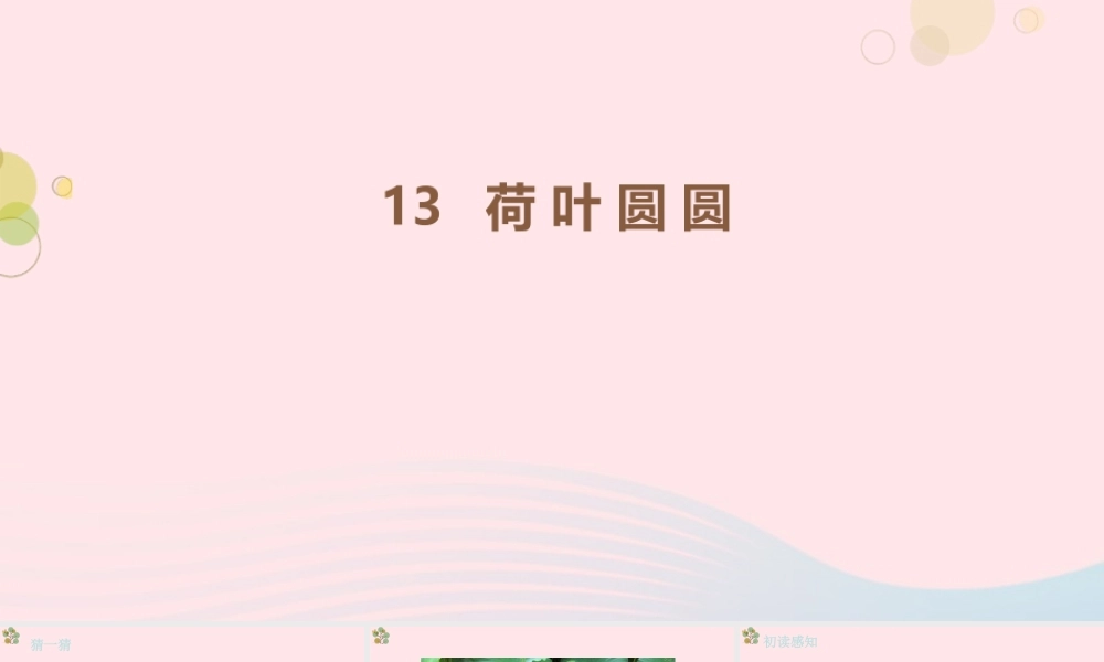 2级语文下册 课文 4 13《荷叶圆圆》（第1课时）课件 新人教版