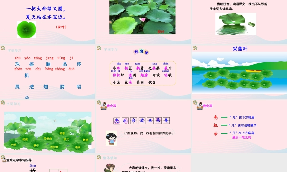 2级语文下册 课文 4 13《荷叶圆圆》（第1课时）课件 新人教版