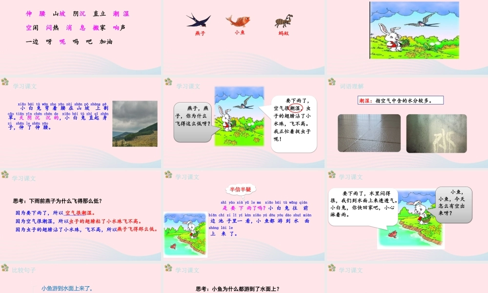 2级语文下册 课文 4 14《要下雨了》第2课时课件 新人教版