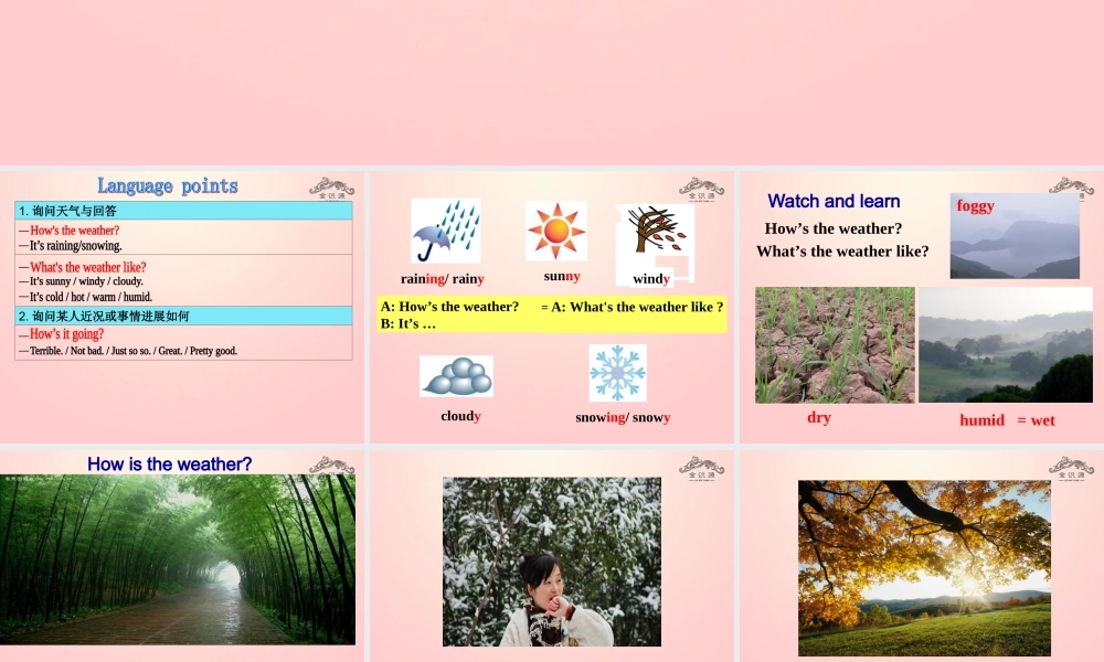 【金识源】2015六年级英语下册 Unit 9 It's raining（第3课时）Section B(1a-2c)课件 鲁教版五四制