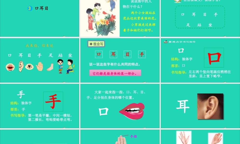 3 口耳目课件