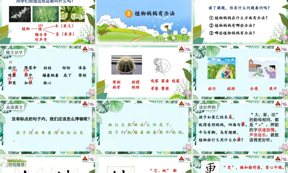 3 植物妈妈有办法【教案匹配版】推荐❤