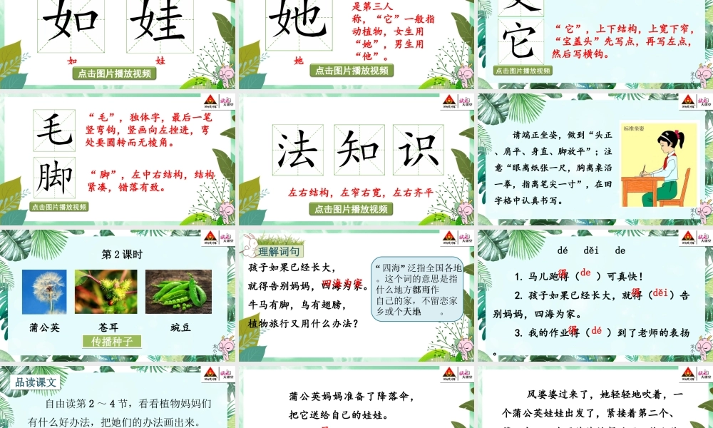 3 植物妈妈有办法【教案匹配版】推荐❤