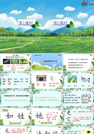 3 植物妈妈有办法【教案匹配版】推荐❤
