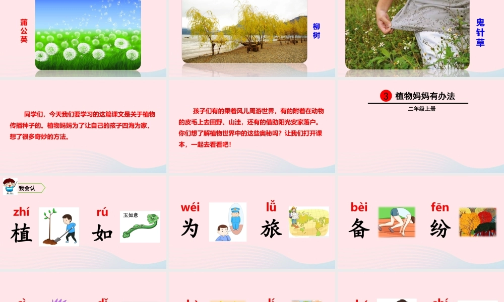 3 植物妈妈有办法课件