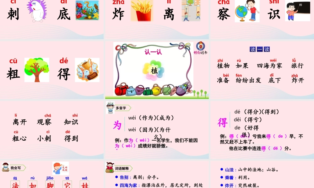 3 植物妈妈有办法课件