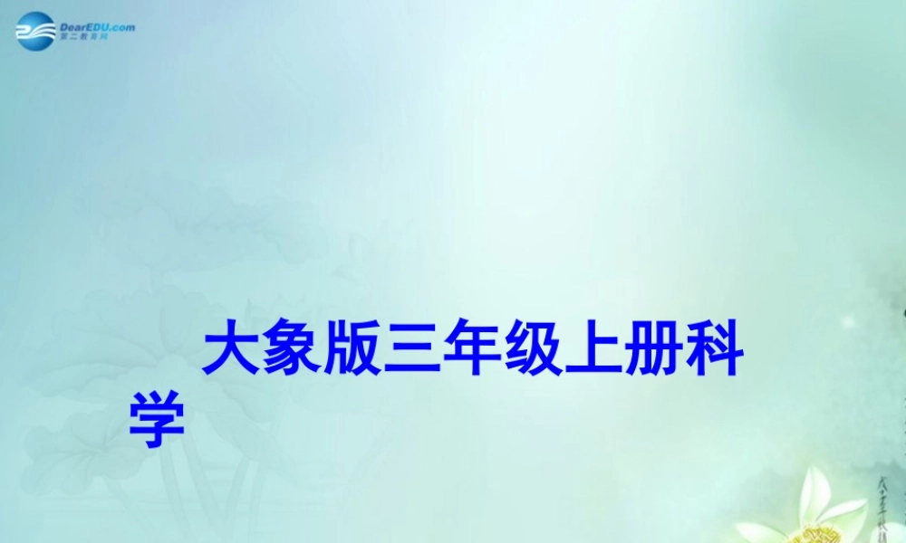 三年级科学上册 果实累累的季节课件2 大象版