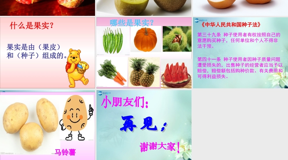 三年级科学上册 果实累累的季节课件2 大象版