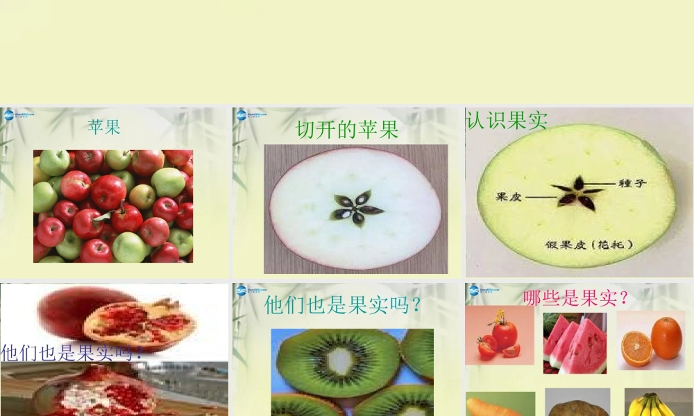 三年级科学上册 果实累累的季节课件4 大象版