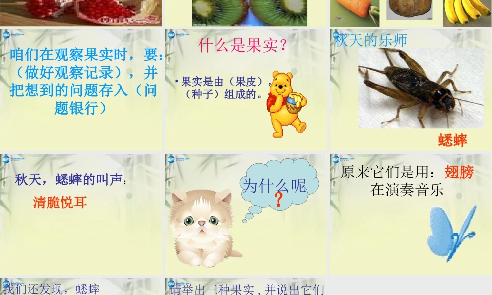 三年级科学上册 果实累累的季节课件4 大象版