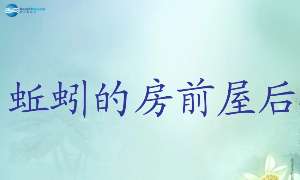 三年级科学上册 蚯蚓的房前屋后课件 大象版