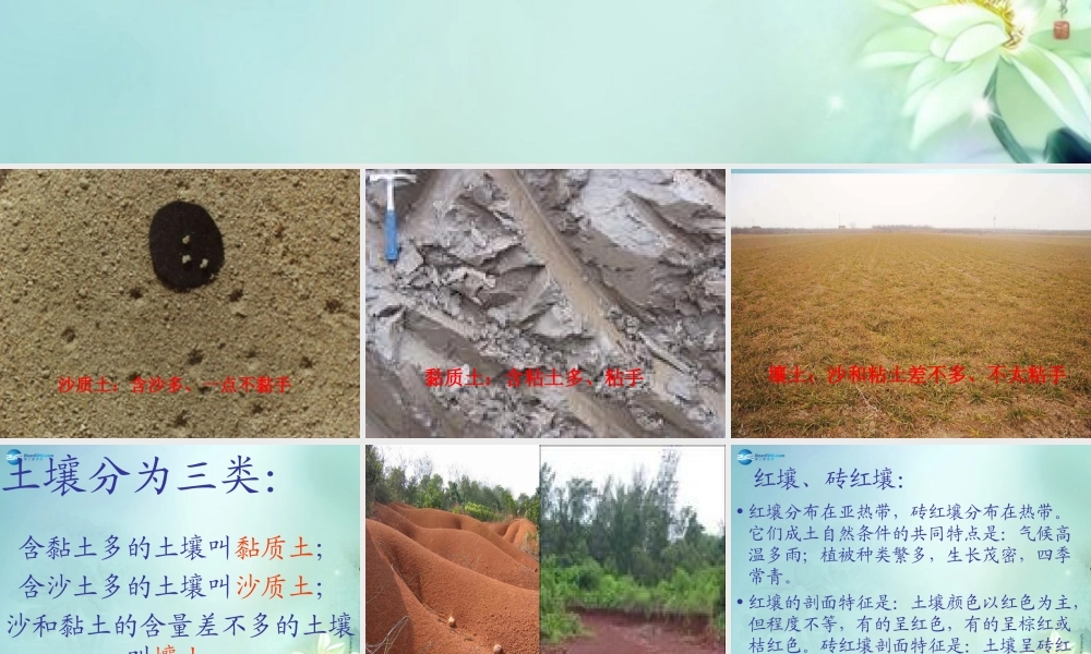 三年级科学上册 蚯蚓的房前屋后课件 大象版