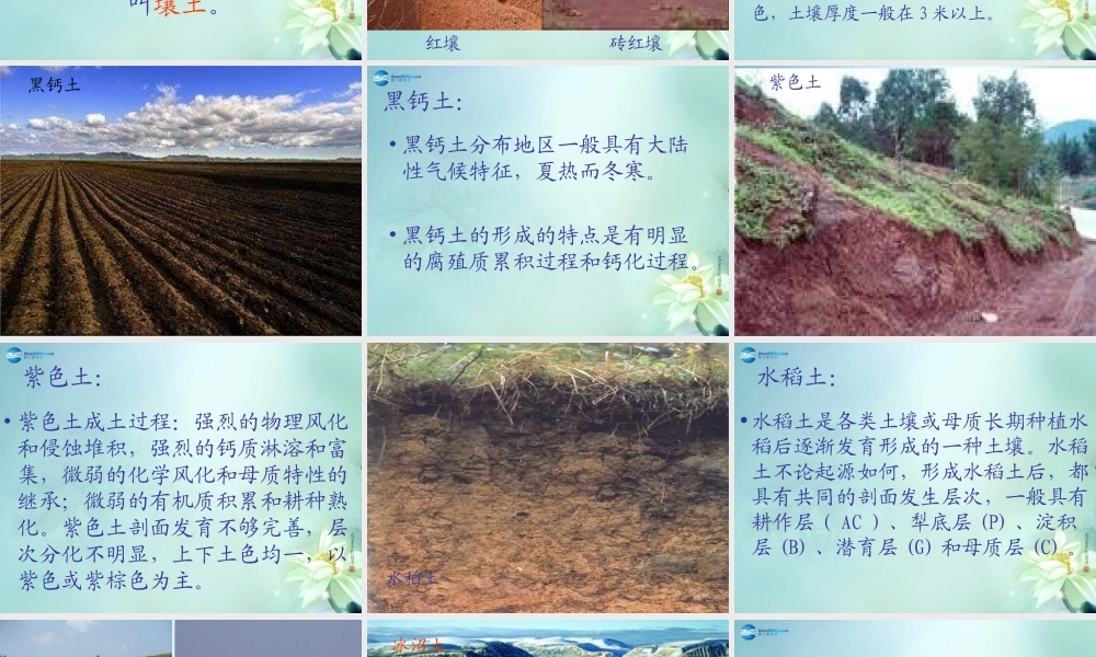 三年级科学上册 蚯蚓的房前屋后课件 大象版