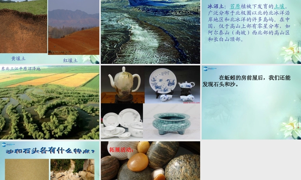 三年级科学上册 蚯蚓的房前屋后课件 大象版