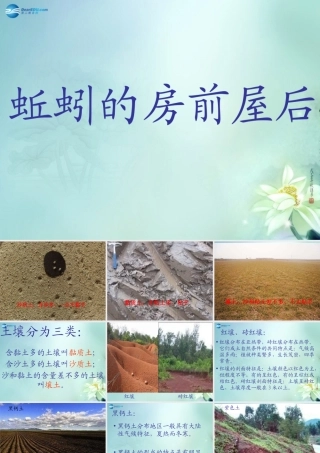 三年级科学上册 蚯蚓的房前屋后课件 大象版