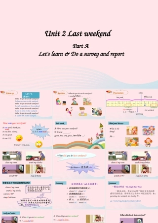 A Let's learn&Do a survey and report课件