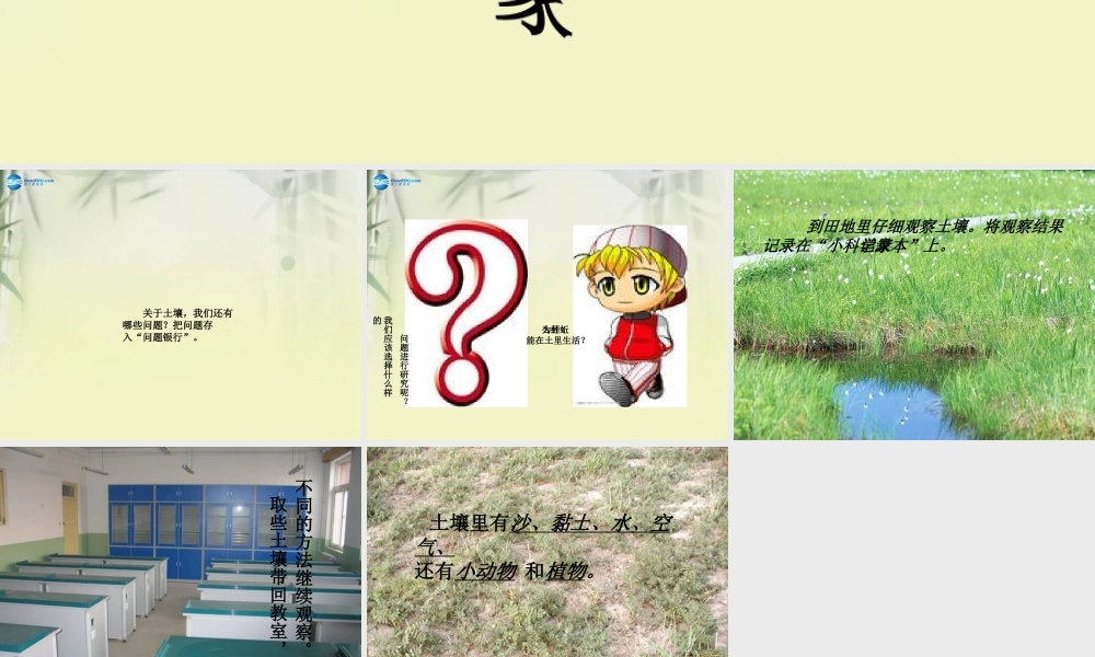 三年级科学上册 探访蚯蚓的家课件 大象版