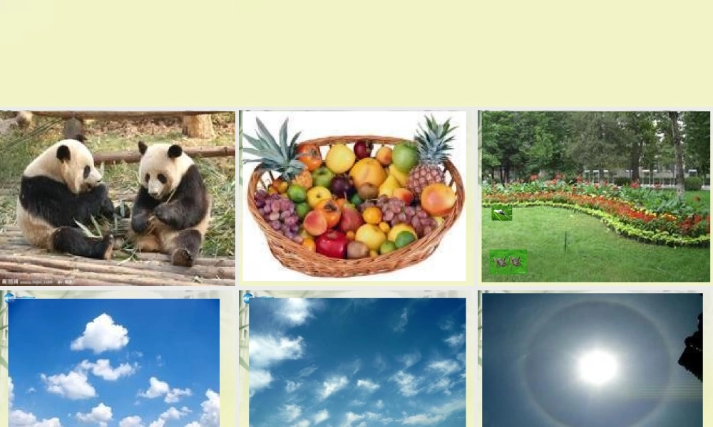 三年级科学上册 探索自然课件 大象版