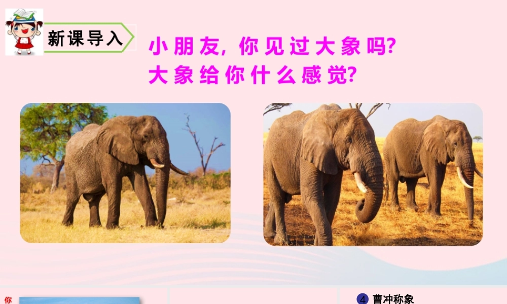 4 曹冲称象课件