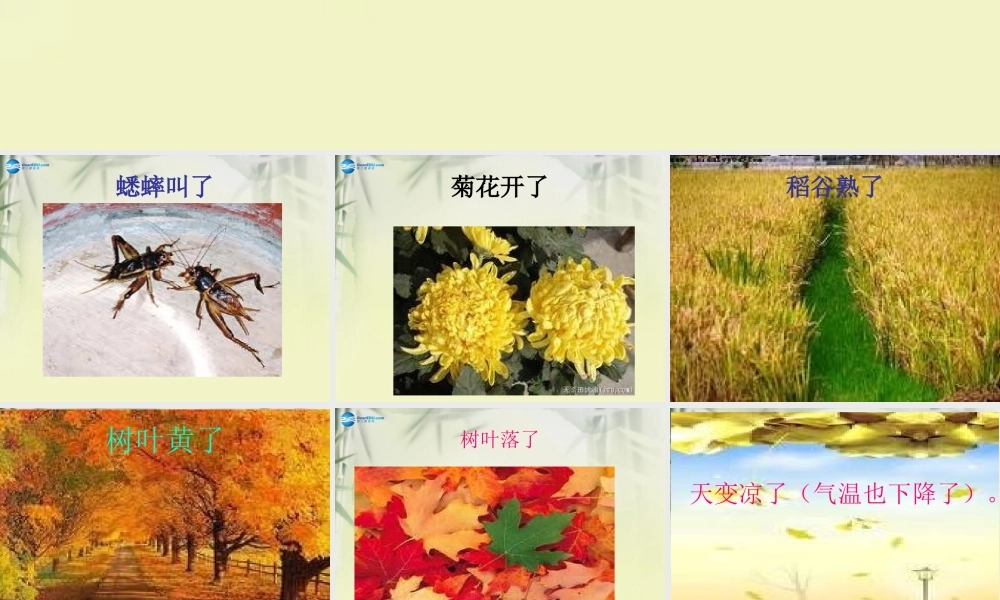 三年级科学上册 寻找秋天课件1 大象版