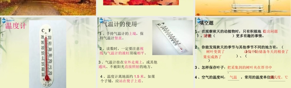 三年级科学上册 寻找秋天课件1 大象版