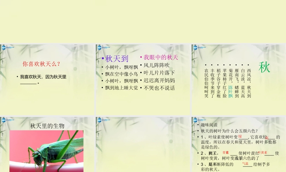 三年级科学上册 寻找秋天课件2 大象版