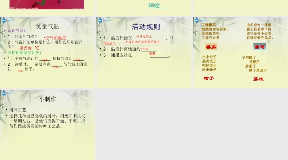 三年级科学上册 寻找秋天课件2 大象版