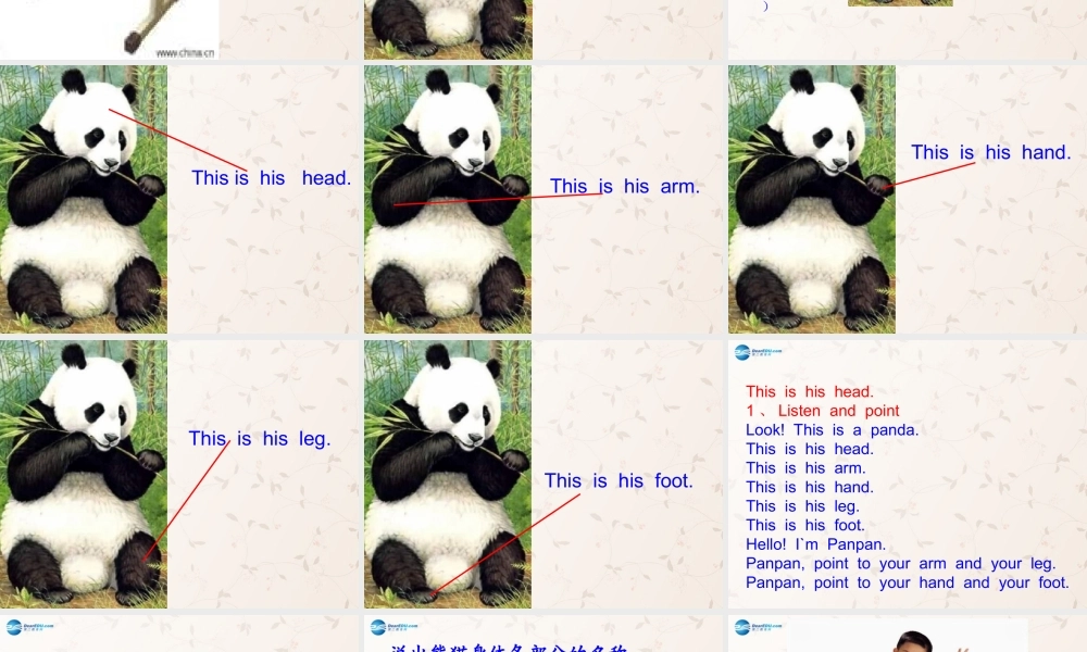 三年级英语上册 Module10 Unit 1 This is his head课件 外研版