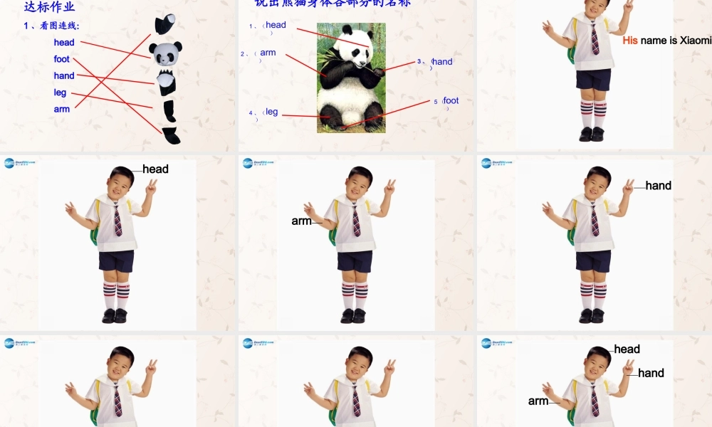 三年级英语上册 Module10 Unit 1 This is his head课件 外研版