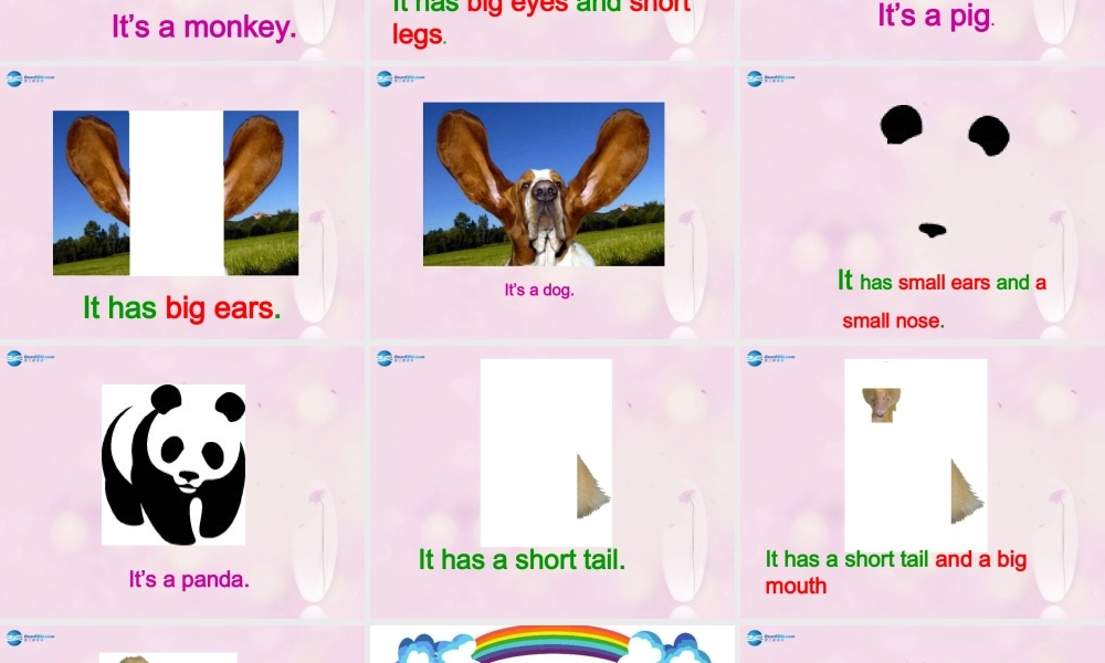 2014秋四年级英语上册 Module 3 Unit 2 What’s the elephant doing课件1 外研版（三起）