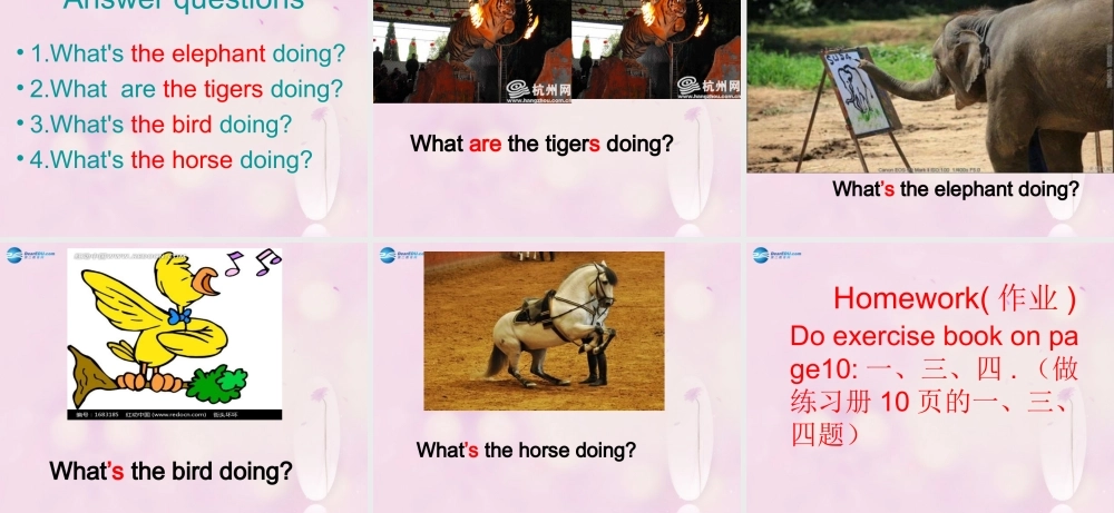 2014秋四年级英语上册 Module 3 Unit 2 What’s the elephant doing课件2 外研版（三起）