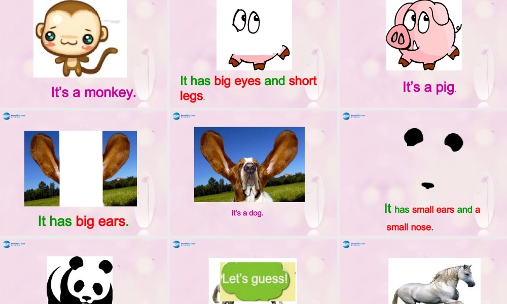 2014秋四年级英语上册 Module 3 Unit 2 What’s the elephant doing课件4 外研版（三起）