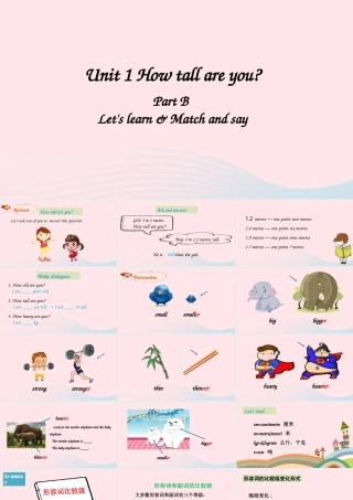 B Let's learn&Match and say课件