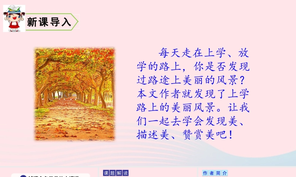 5 铺满金色巴掌的水泥道课件